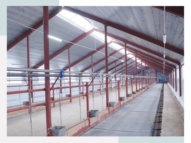 Строительство коровников в Азнакаево от 616 руб.