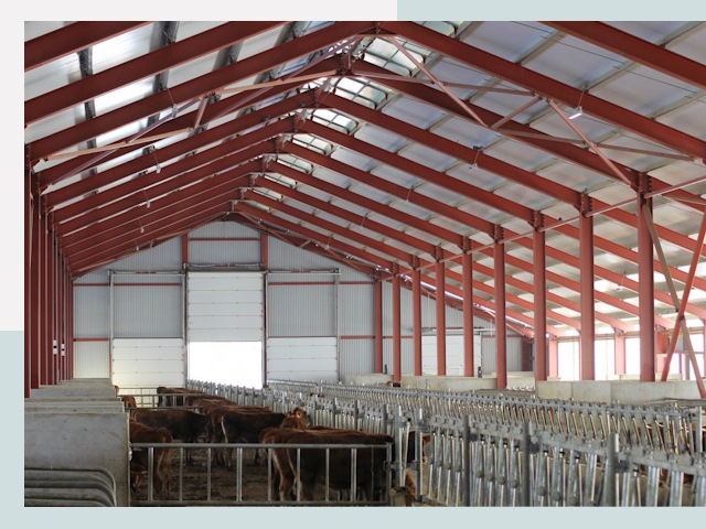 Строительство коровников в Азнакаево