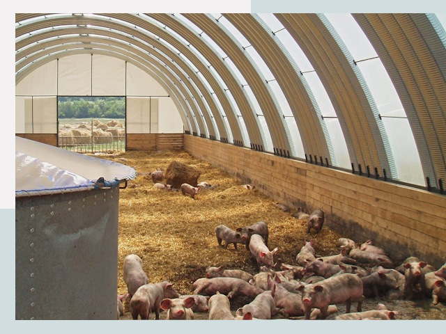 Строительство свинарников в Азнакаево