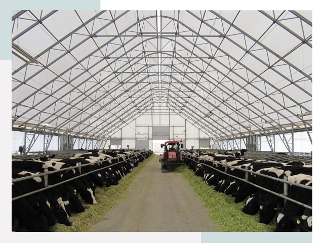 Тентовые коровники в Азнакаево от 616 руб. - Надежно и доступно