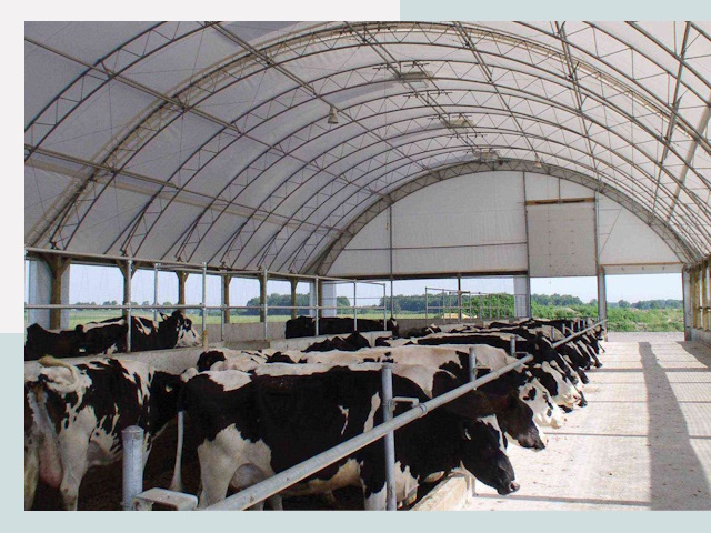 Тентовые коровники в Азнакаево